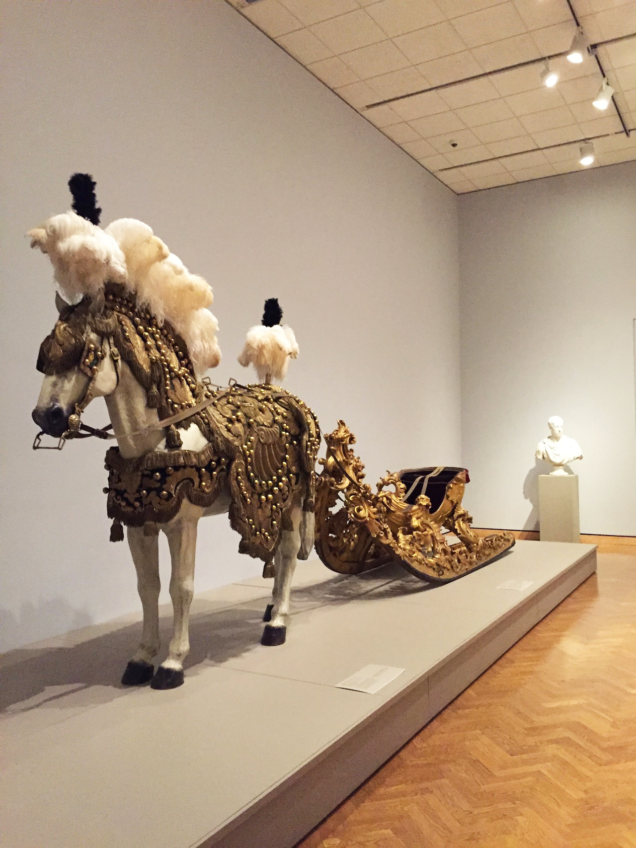 horse.copy