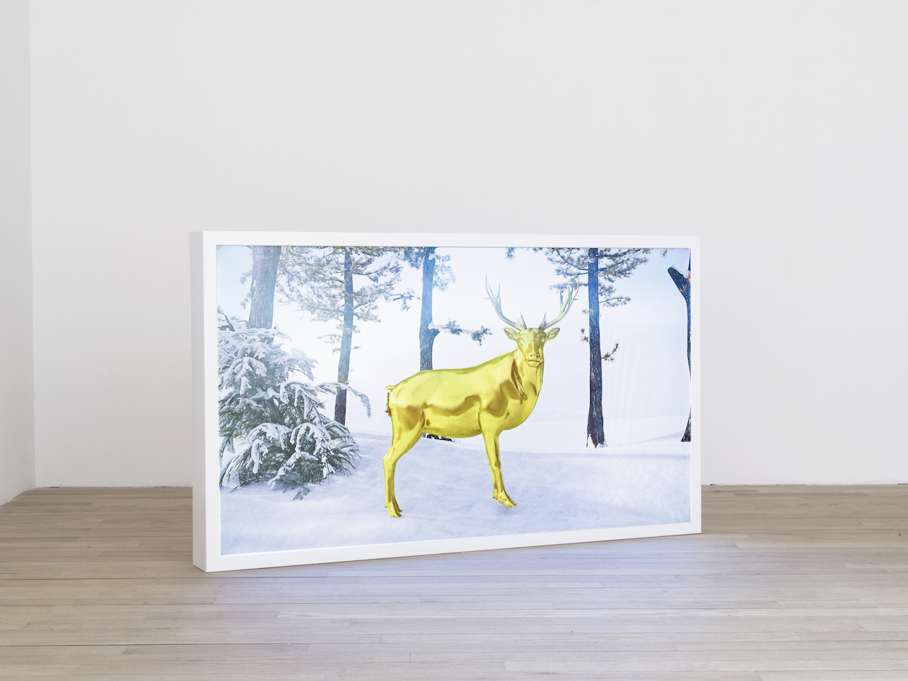 Jonathan Monaghan, "Escape Pod" (2015), animated HD film, 20 minutes, seamless loop (photo by John Berens, courtesy bitforms gallery, New York)