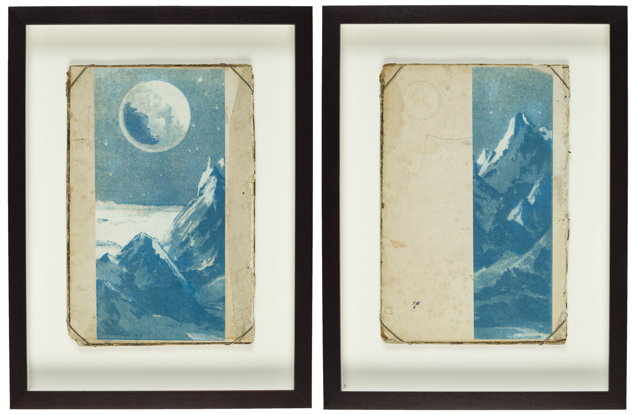 cyanotype11