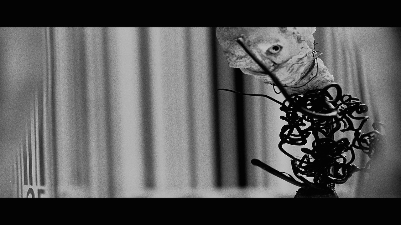 The Living Metal Scraps and Dancing Dolls of the Quay Brothers