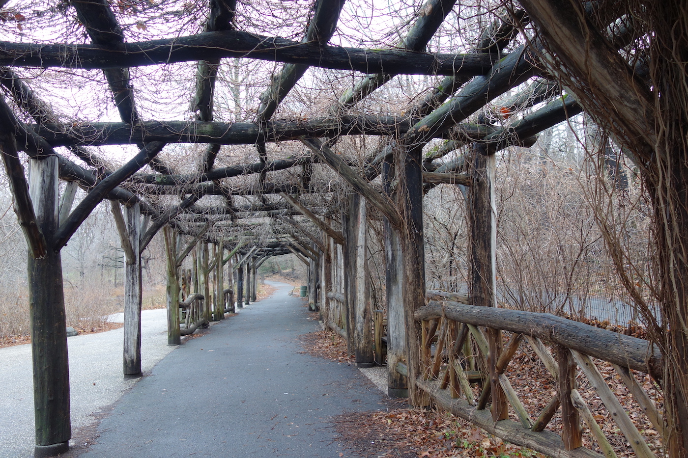 Celebrate 150 Years of Brooklyn's Prospect Park with 19thCentury
