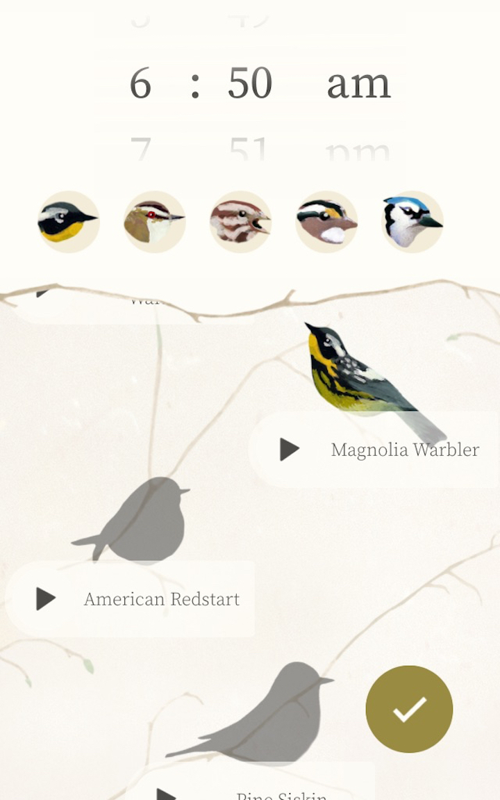 An Alarm Clock of Bird Songs, Culled from a Museum’s Archive