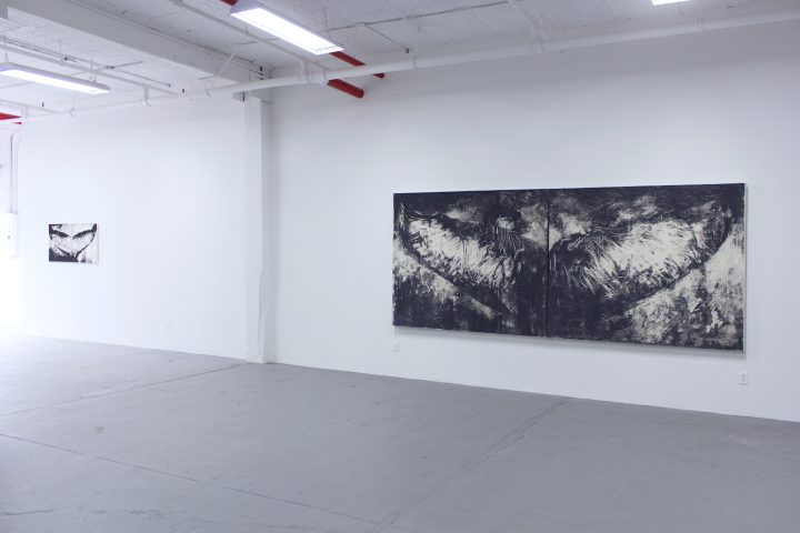 Installation view of <em srcset=