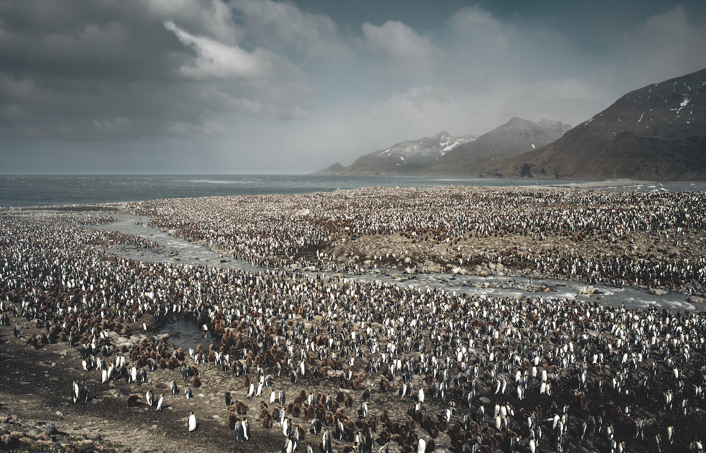 Photographs from the Wildest Places on Earth