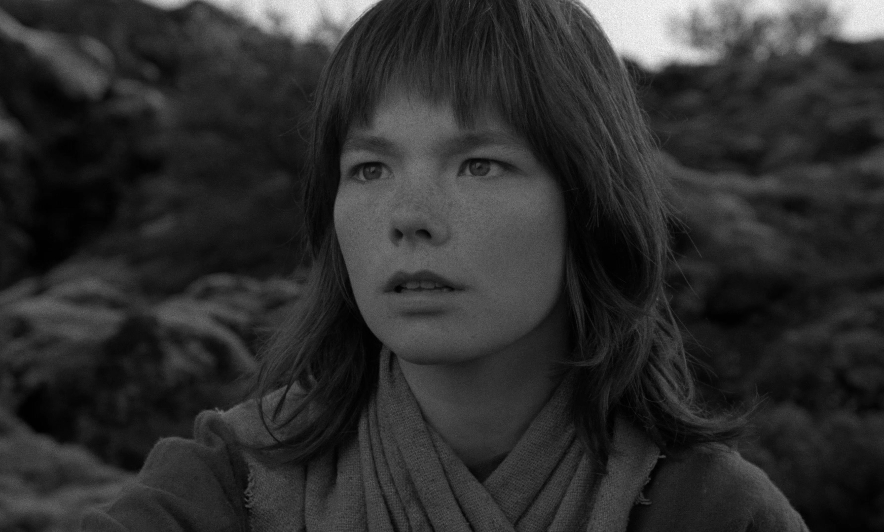 Björk’s Movie Debut, The Juniper Tree, Is Restored and Revisited