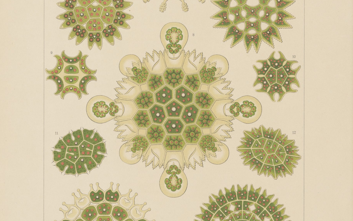 The Politics of the Air We Breathe