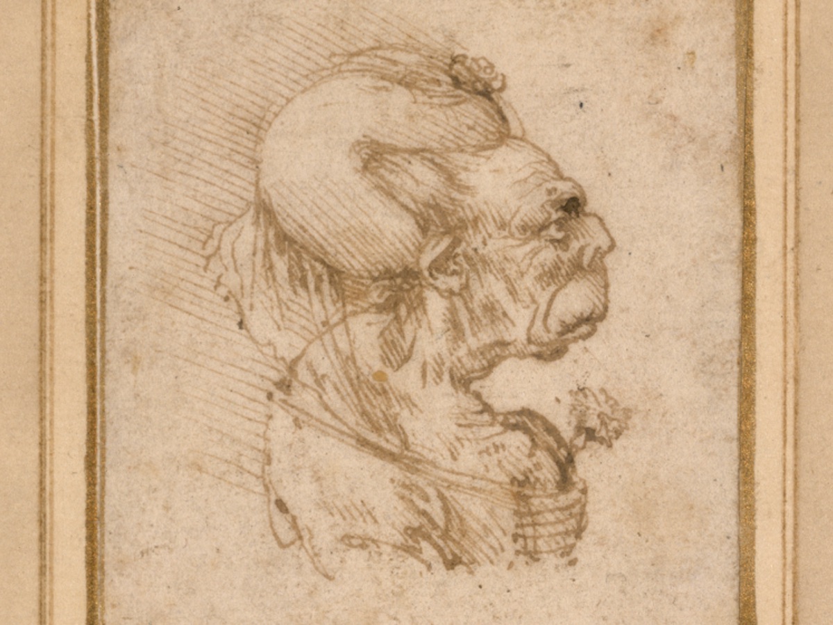 How Leonardo s Monstrous Drawings Inspired Modern Caricature