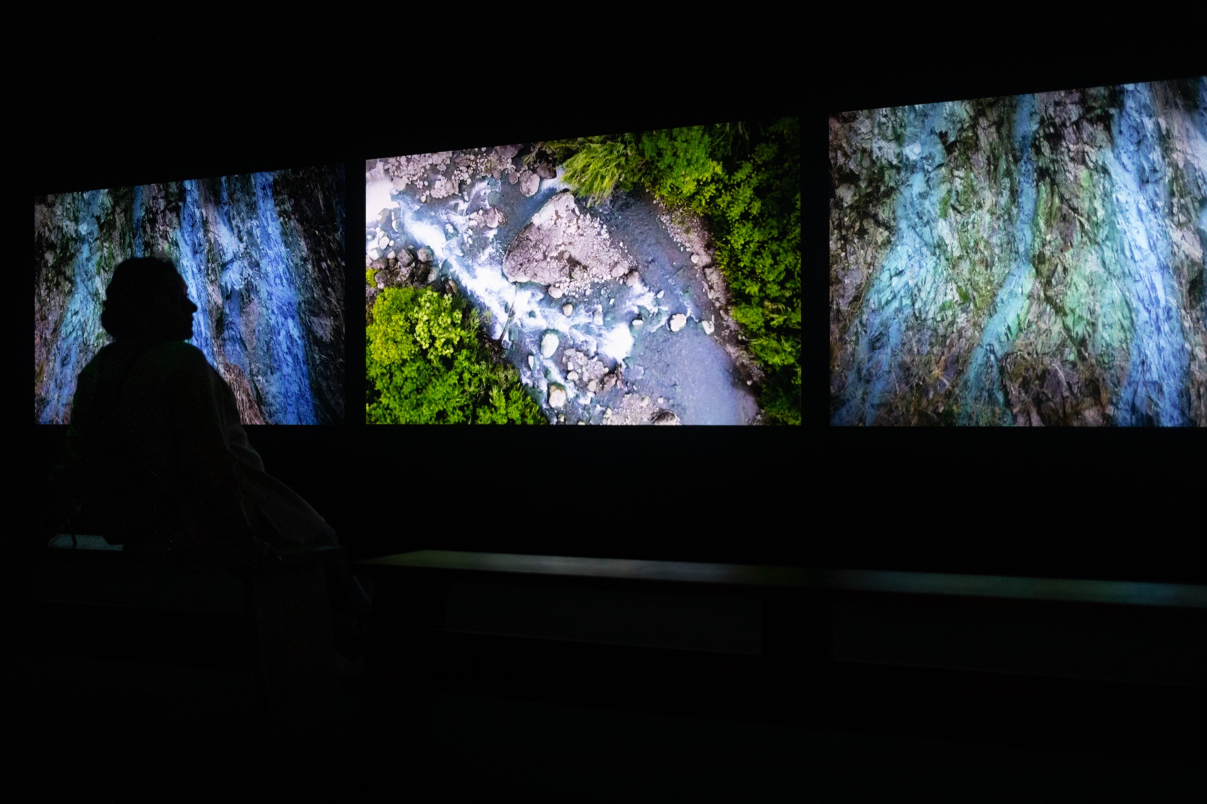 The Ecological Turn in Art Is Here to Stay