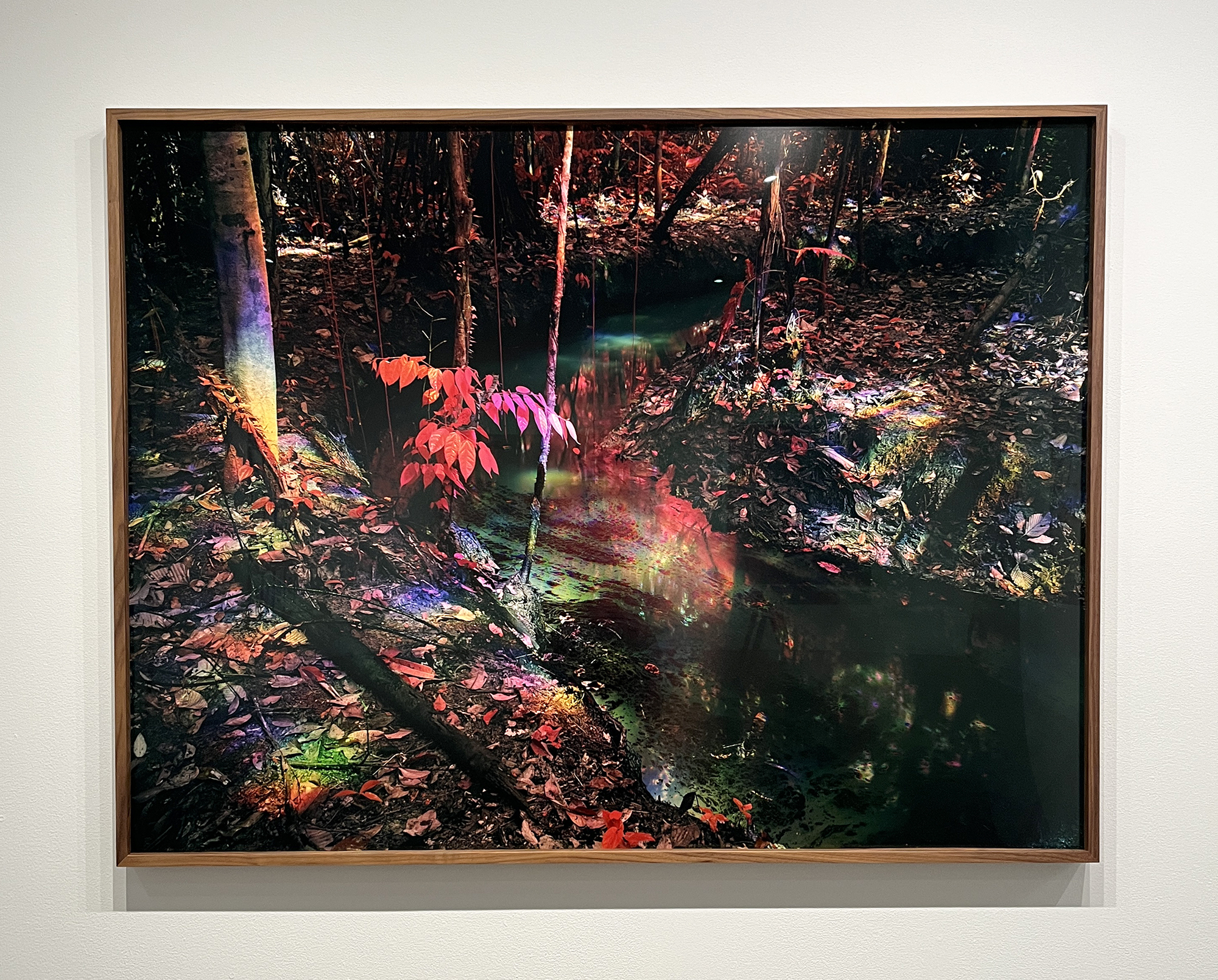 Exploring New Paths in Landscape-Based Art