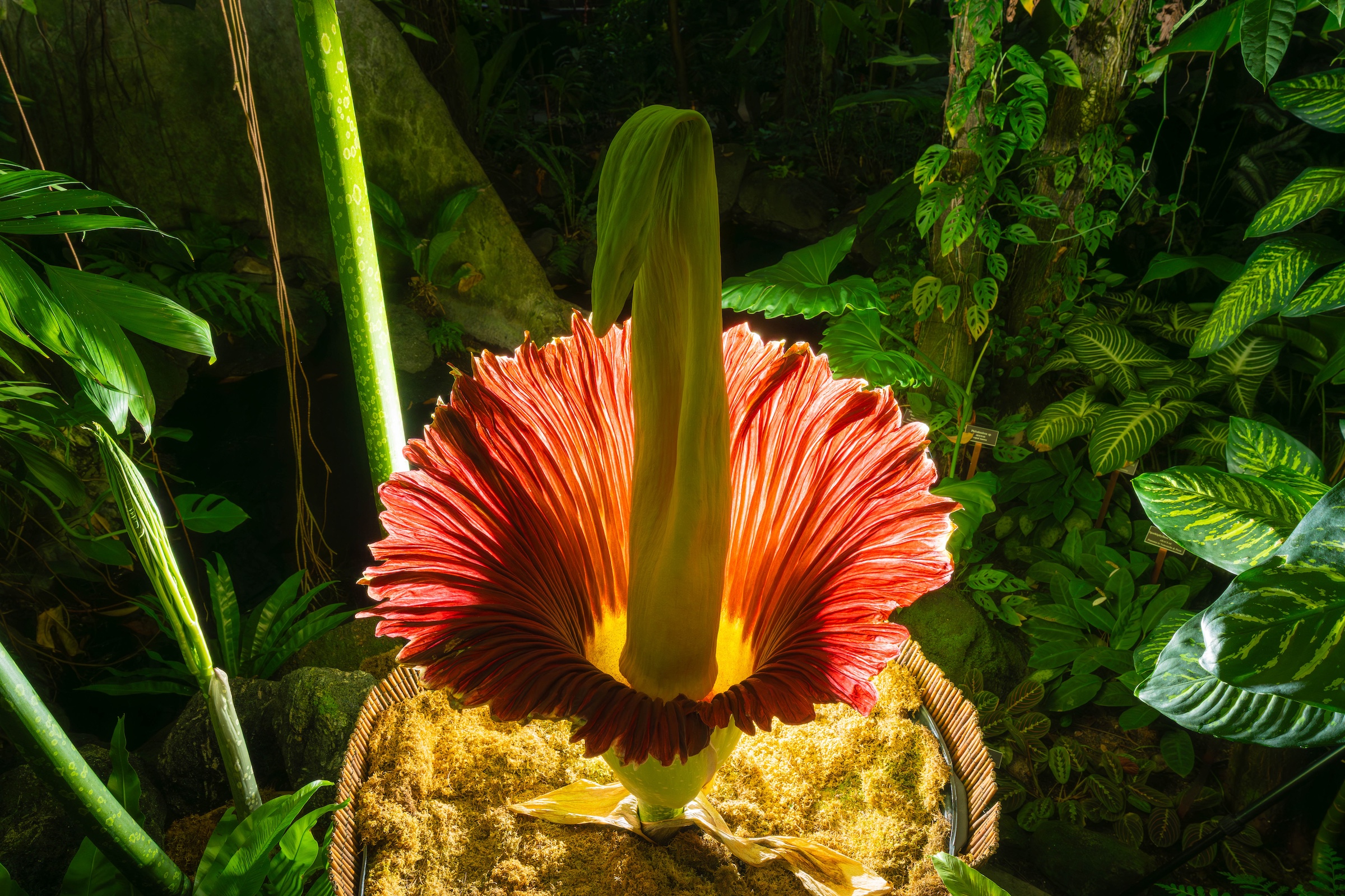 القراءة الإلزامية القراءة الإلزامية