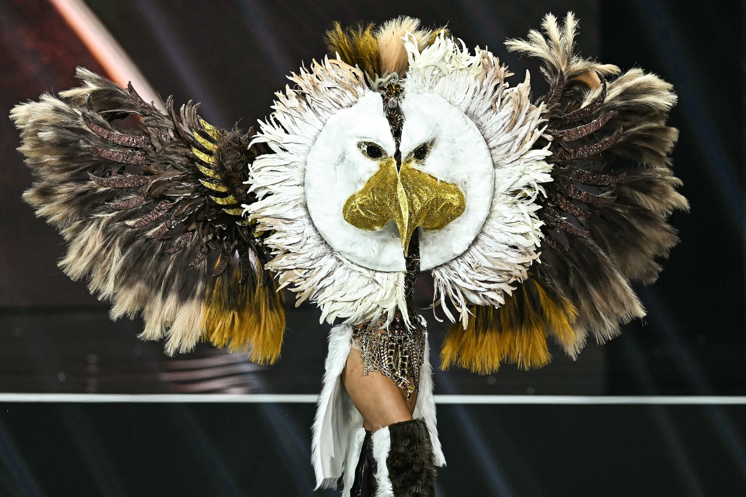 The Most Jaw-Dropping Costumes of the Miss Universe Competition
