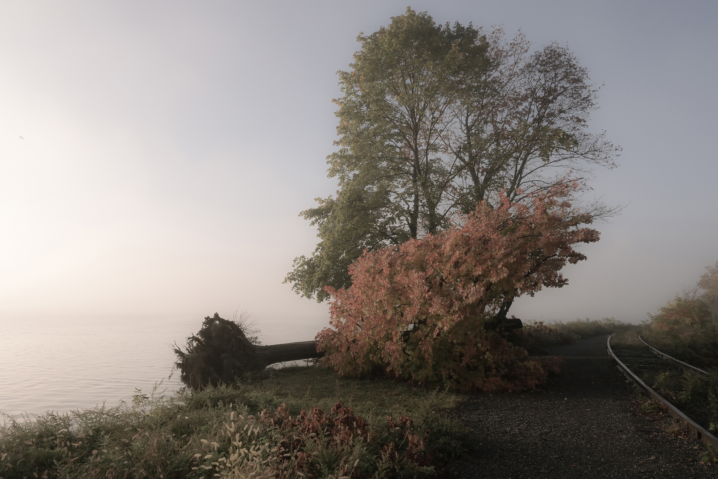 ١٠ معارض لا تُفَوَّت في شمال ولاية نيويورك
نوفمبر ٢٠٢٥